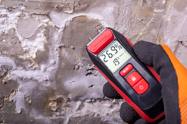 Best Mold Remediation  in Bonita, CA