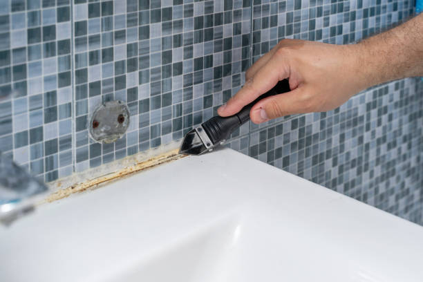 Best Water Damage Restoration  in Bonita, CA