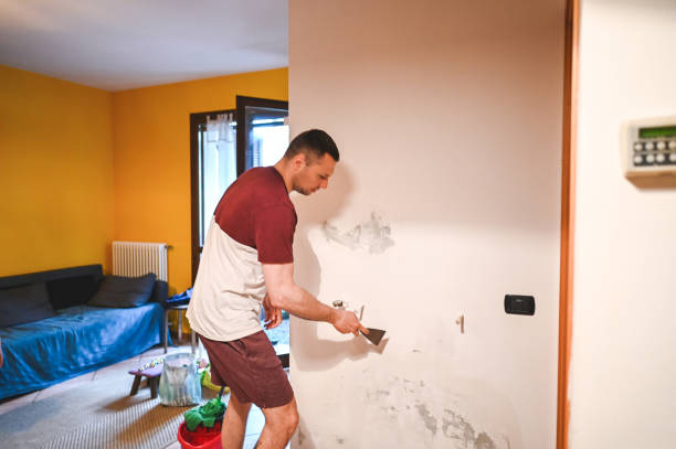 Reliable Bonita, CA Mold Removal Solutions